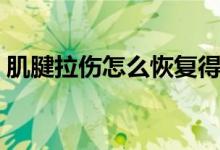 肌腱拉傷怎么恢復(fù)得快（肌腱拉傷怎么恢復(fù)）