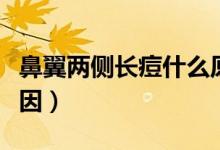 鼻翼兩側(cè)長痘什么原因（鼻翼兩側(cè)長痘什么原因）