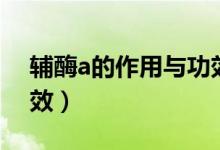 輔酶a的作用與功效孕婦（輔酶a的作用與功效）