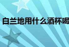 白蘭地用什么酒杯喝（白蘭地用什么酒杯好）