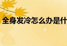 全身發(fā)冷怎么辦是什么?。ㄈ戆l(fā)冷怎么辦）