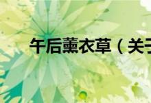 午后薰衣草（關(guān)于午后薰衣草的介紹）