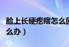 臉上長硬疙瘩怎么回事還疼（臉上長硬疙瘩怎么辦）