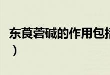 東莨菪堿的作用包括（東莨菪堿的作用與功效）
