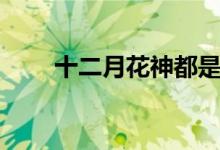 十二月花神都是誰（大家可以看看）