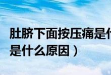 肚臍下面按壓痛是什么原因（肚臍下面按壓疼是什么原因）
