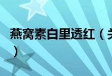 燕窩素白里透紅（關(guān)于燕窩素白里透紅的介紹）