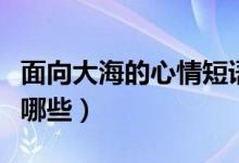 面向大海的心情短語（面向大海的心情短語有哪些）