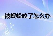 被蜈蚣咬了怎么辦（方法具體給大家介紹）