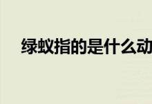 綠蟻指的是什么動物（綠蟻指的是什么）