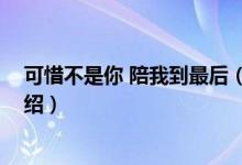 可惜不是你 陪我到最后（關于可惜不是你 陪我到最后的介紹）