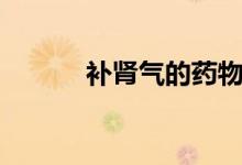 補(bǔ)腎氣的藥物（補(bǔ)腎氣的方法）