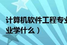 計算機軟件工程專業(yè)大學（計算機軟件工程專業(yè)學什么）