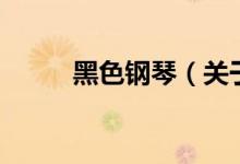 黑色鋼琴（關于黑色鋼琴的介紹）