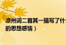 涼州詞二首其一描寫了什么之情(涼州詞這首詩表達了怎樣的思想感情)