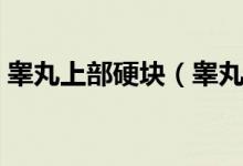 睪丸上部硬塊（睪丸下端有凸起硬塊的病因）