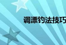 調(diào)漂釣法技巧（釣魚調(diào)漂技巧）