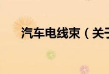 汽車電線束（關于汽車電線束的介紹）