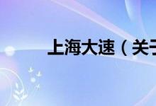 上海大速（關(guān)于上海大速的介紹）