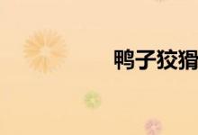 鴨子狡猾(鴨子捉兔)