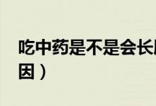 吃中藥是不是會長胖?（吃中藥長胖是什么原因）