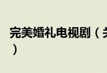 完美婚禮電視?。P(guān)于完美婚禮電視劇的介紹）