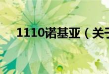 1110諾基亞（關(guān)于1110諾基亞的介紹）