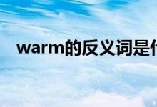 warm的反義詞是什么（warm的反義詞）