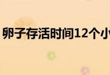 卵子存活時(shí)間12個(gè)小時(shí)（卵子存活時(shí)間多久）