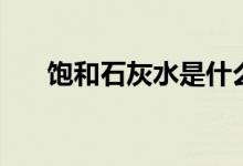 飽和石灰水是什么（石灰水有什么用）