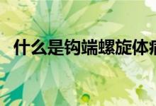 什么是鉤端螺旋體病（什么是鉤端螺旋體）