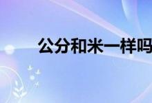公分和米一樣嗎(公分和米的換算)