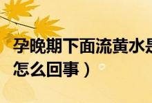 孕晚期下面流黃水是怎么回事（下面流黃水是怎么回事）