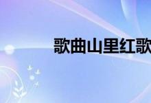 歌曲山里紅歌詞（演唱者是誰）
