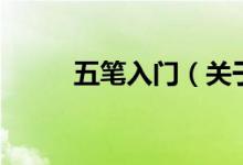 五筆入門（關(guān)于五筆入門的介紹）