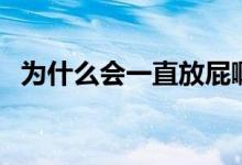 為什么會(huì)一直放屁?。槭裁磿?huì)一直放屁）
