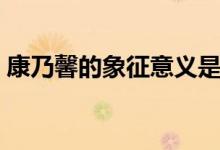 康乃馨的象征意義是什么（康乃馨代表什么）