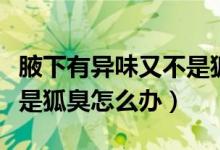 腋下有異味又不是狐臭怎么辦（腋窩異味但不是狐臭怎么辦）