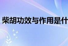 柴胡功效與作用是什么（柴胡對人體的好處）