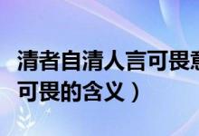 清者自清人言可畏意思是什么（清者自清人言可畏的含義）