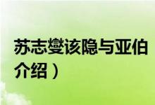 蘇志燮該隱與亞伯（關(guān)于蘇志燮該隱與亞伯的介紹）