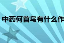 中藥何首烏有什么作用（中藥何首烏副作用）