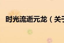 時光流逝元龍（關(guān)于時光流逝元龍的介紹）