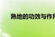 熟地的功效與作用煲湯（熟地的功效）