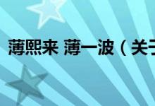 薄熙來 薄一波（關(guān)于薄熙來 薄一波的介紹）