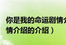 你是我的命運劇情介紹（關(guān)于你是我的命運劇情介紹的介紹）