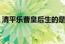 清平樂曹皇后生的是誰（曹皇后沒有生孩子）