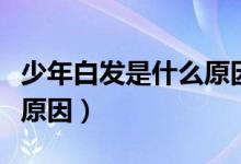 少年白發(fā)是什么原因引起的（少年白發(fā)是什么原因）