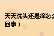 天天洗頭還是癢怎么辦（天天洗頭還是癢怎么回事）