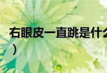 右眼皮一直跳是什么預(yù)兆（為什么會(huì)右眼皮跳）